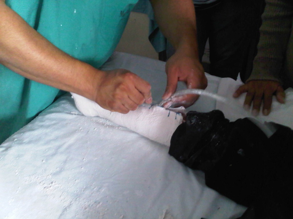 [IMG00905-20110920-1600%255B4%255D.jpg]