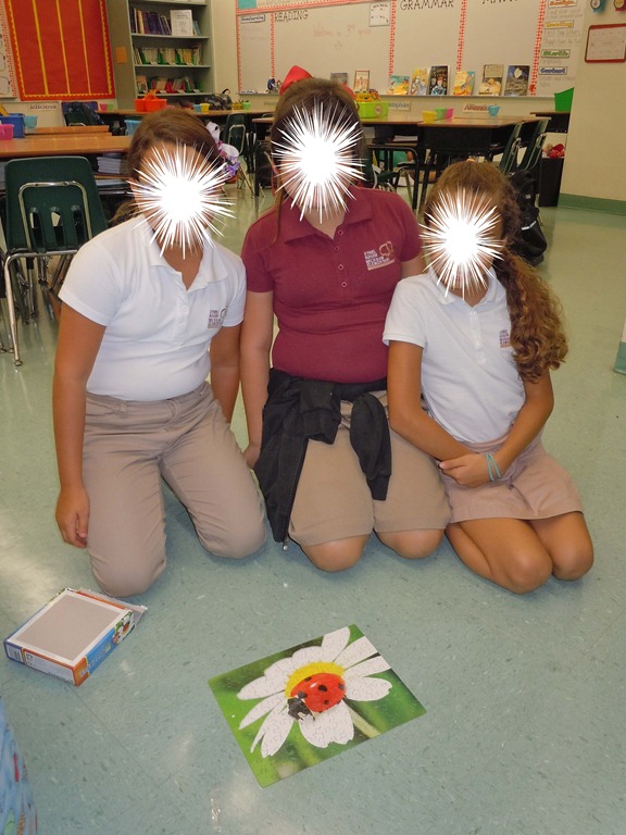 [ladybug%2520puzzle%2520copy%255B3%255D.jpg]