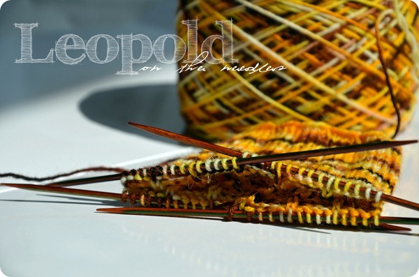 Leopold on the needles cobyki
