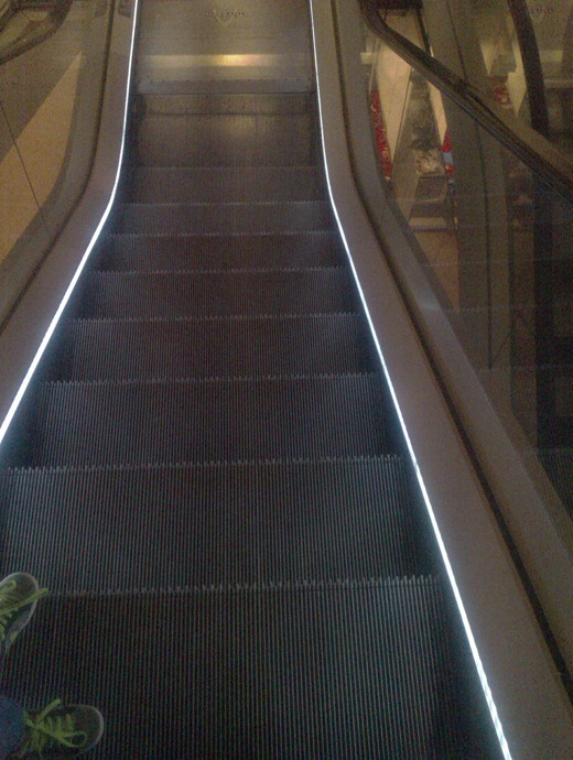IMAG0375 IMAG0375