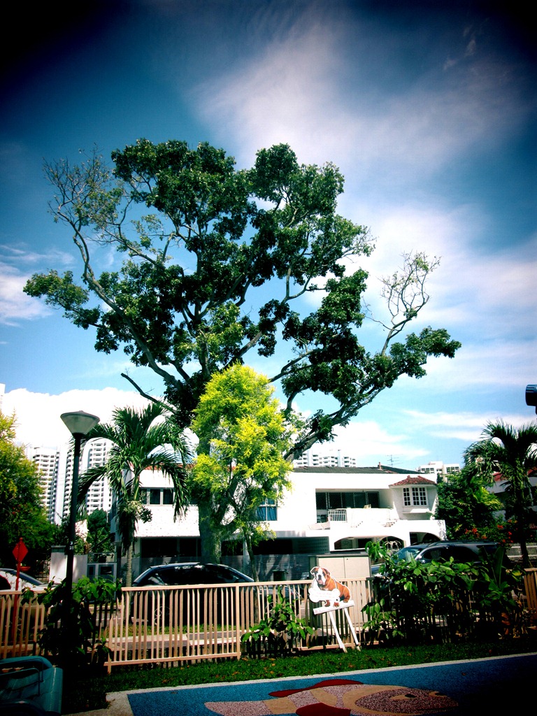 [IMG_0588%255B3%255D.jpg]