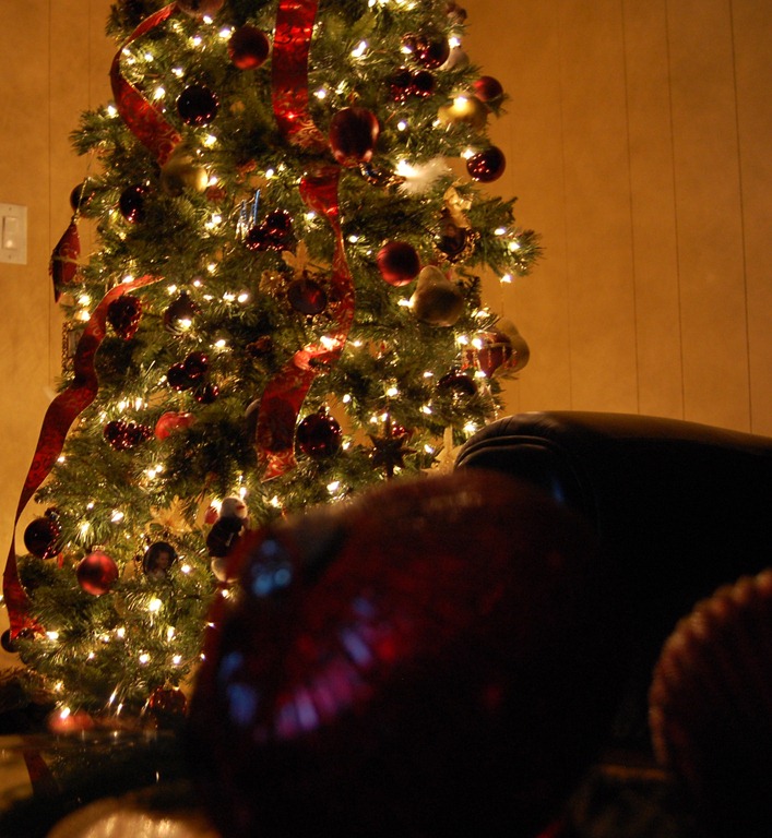 [DSC_0709%255B4%255D.jpg]