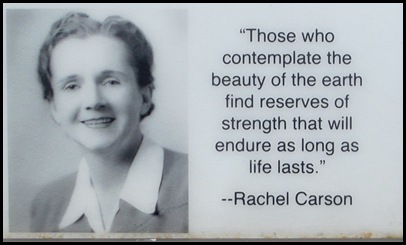 Rachel Carson and Wells Estuary 027A