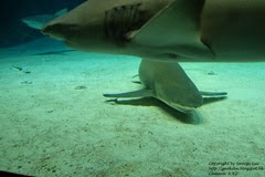DSCF2153 DSCF2153