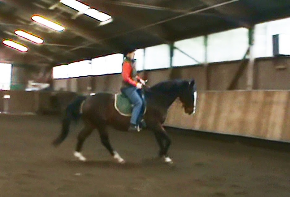 [Galopp4-neu%255B7%255D.jpg]