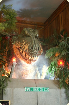 IMG_8351 IMG_8351