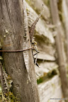 Høst 2010 (9 of 22).jpg