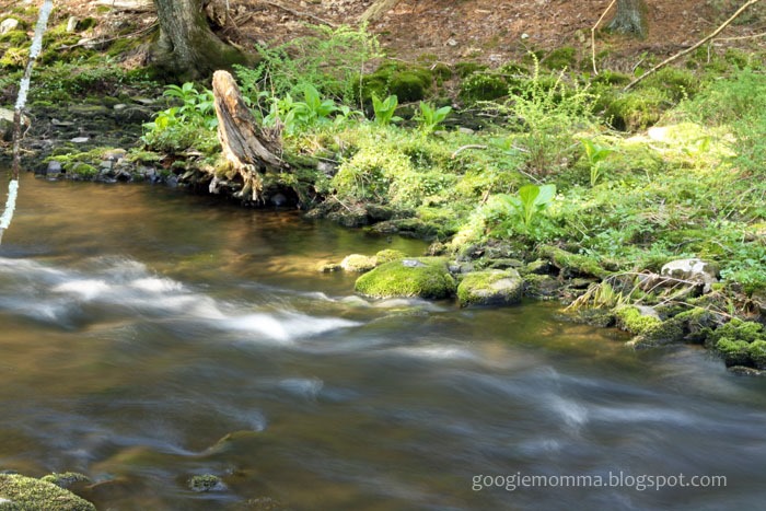 [water%2520house18%255B3%255D.jpg]