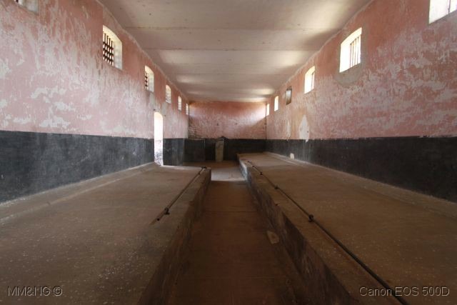 [IMG_0928%255B4%255D.jpg]