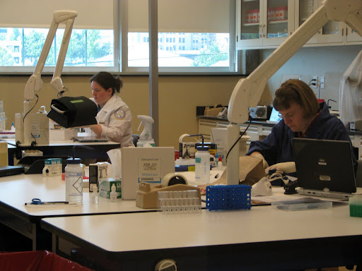 Technicians processing DNA evidence. (Photo credit: Jeremy Shreckhise)