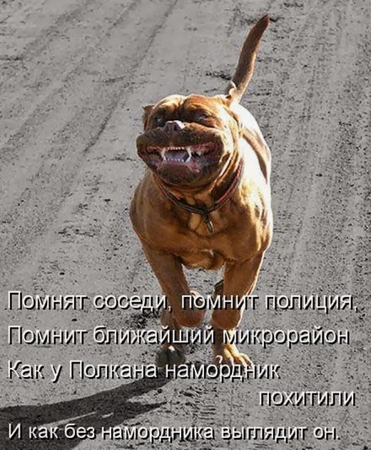 [2adee94235aafa3c3cb6171f434%5B11%5D.jpg]