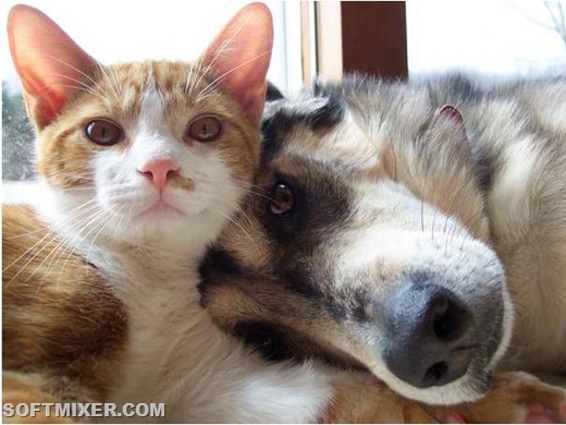 [C5%255B10%255D.jpg]