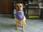 GREY lo suyo lo suyo es posar