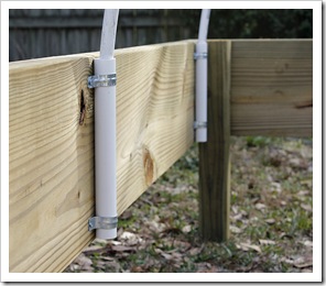 raised bed2