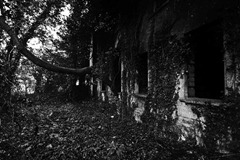 Nettleham-Hall-23