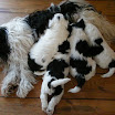 DSCN0158.JPG