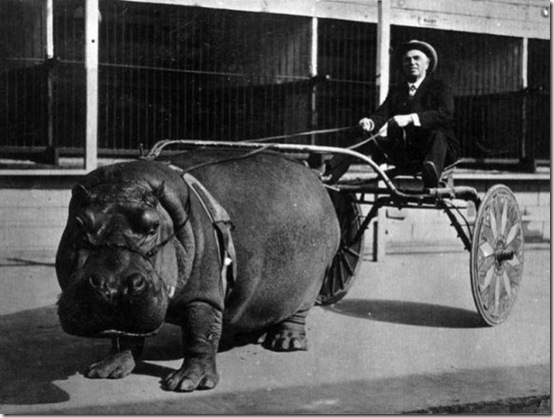 viral-picdump-pics-8f6da7