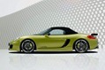 SpeedART-Porsche-SP-981-R-17