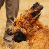 Abi - DSC_0158.jpg