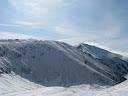 IMG_1553.jpg