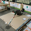 DSCF3342.JPG