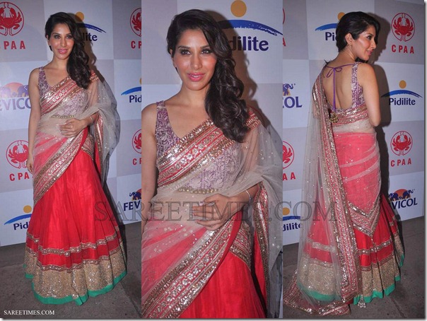 Sophie_Chaudhary_Manish_Malhotra_Saree