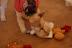 Christmas 2007