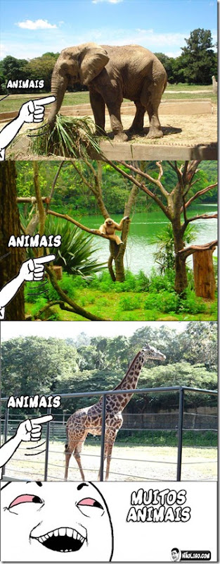zoo-chapado