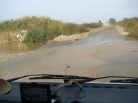 IMG_1714 IMG_1714