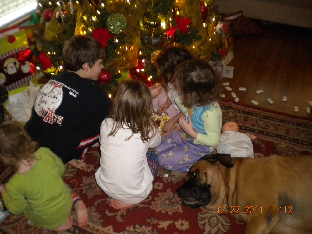[Christmas%25202011%2520015%255B3%255D.jpg]