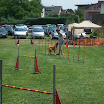 2010 - Kunterbunt 2010