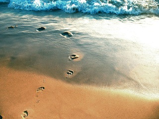 lake-michigan-feet-in-the-sand1 lake-michigan-feet-in-the-sand1