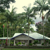 this is where I found a room for rent in Hilo