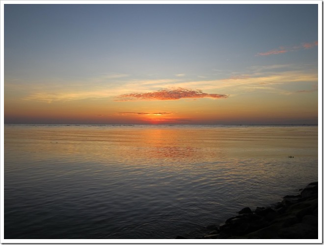 IMG_1637 IMG_1637
