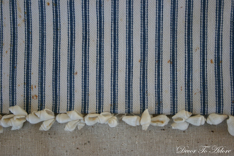 seashells 030