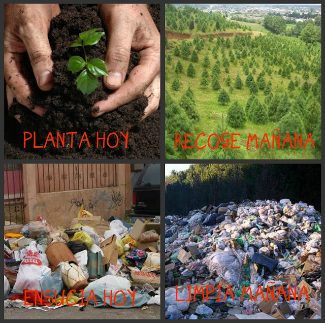 TRABAJO IMAGEN oscar-jorge.jpg