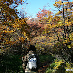 IMG_8176.JPG