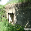 dsc06869.jpg
