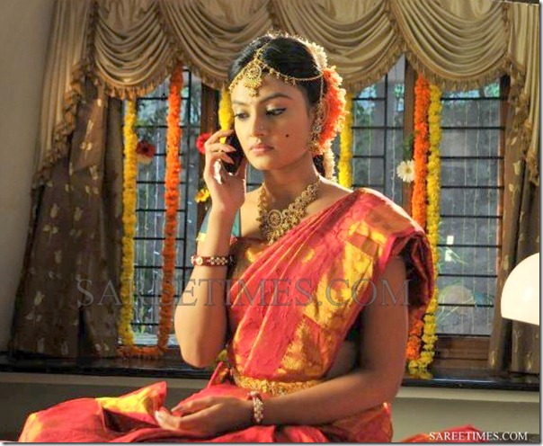 Nikitha_Narayan_Traditional_Saree (2)