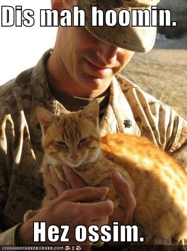 [funny-pictures-orange-cat-loves-soldier%255B3%255D.jpg]