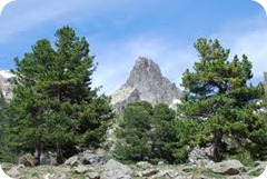 piemonte  monviso