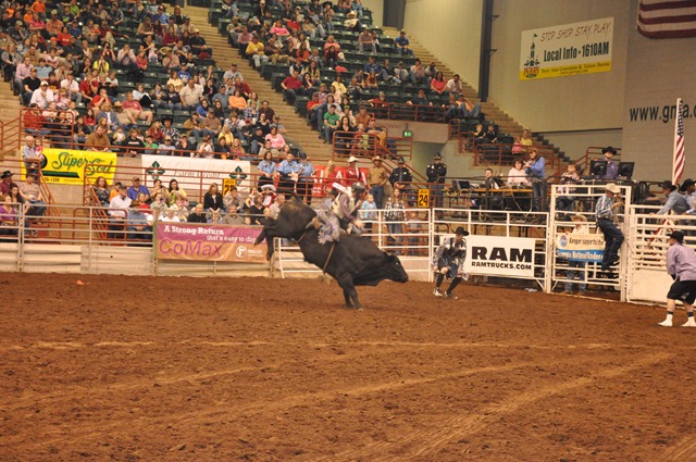 [Georgia%2520national%2520rodeo%2520%252842%2529%255B3%255D.jpg]