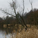 dsc01287.jpg