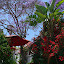 Santa Barbara, CA, Cafe