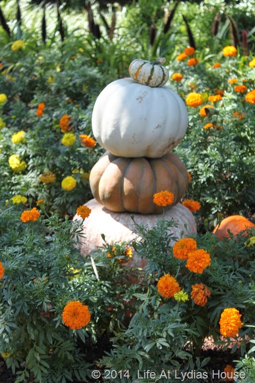 [Dallas-Arboretum---pumpkin-festival-%255B24%255D.jpg]