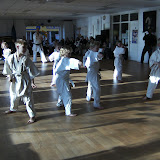 BILD0234.JPG