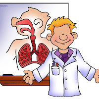 science_respiratory_system_chart.jpg