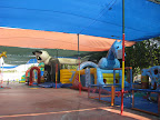 p1292150813(5).jpg