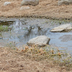 筑後広域公園