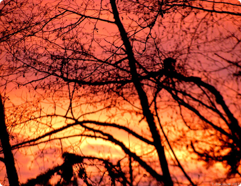 winter-light